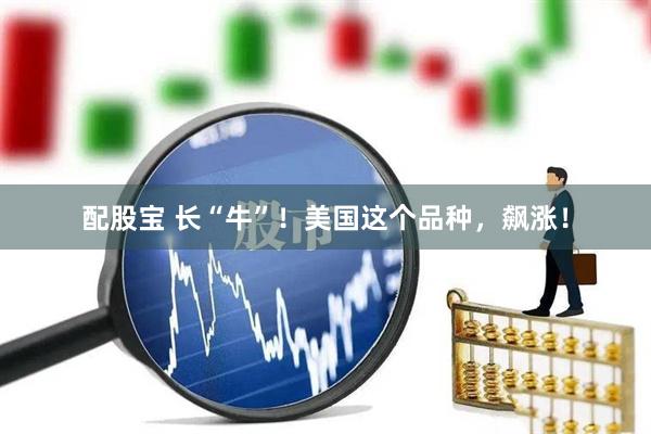 配股宝 长“牛”！美国这个品种，飙涨！